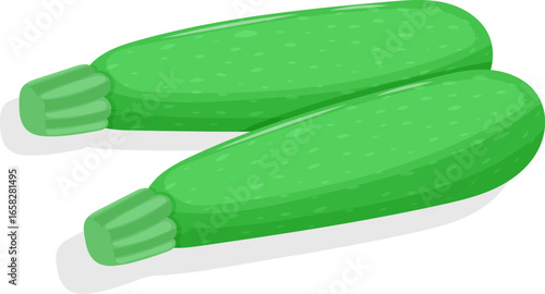 Healthy eating concept. Stylized illustration of green zucchini. Vector illustration.