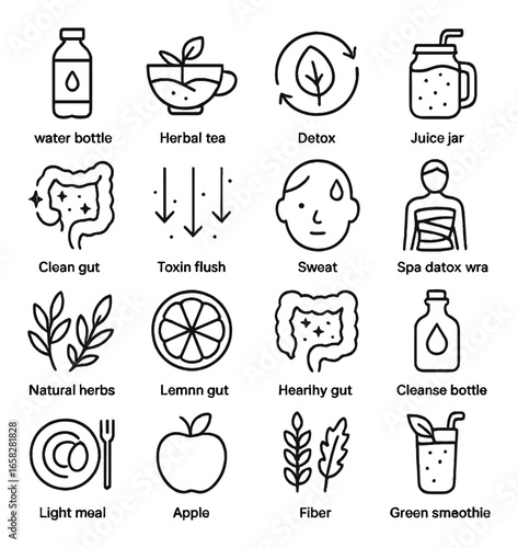 Linear wellness icon set featuring water bottle, herbal tea, detox, natural herbs, apple, and green smoothie symbols