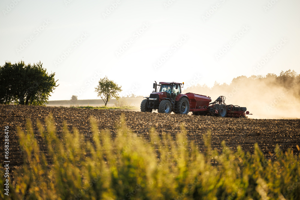 Fototapeta premium Modern agricultural tractor with seeder on dusty field during summer sowing new crops for next season. Farming machinery preparing soil and planting seeds in rural countryside