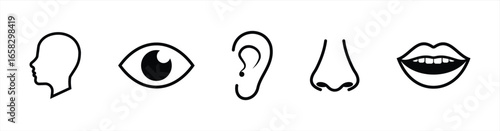 Human Senses Icon Set – Head, Eye, Ear, Nose, and Mouth Line Art Symbols Representing Sight, Hearing, Smell, Taste, and Communication