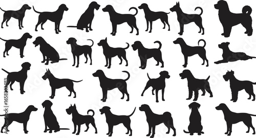 Dog breed silhouette vector set, 25 pet icons, domestic animal shapes, canine poses, purebred outlines, black and white animal art