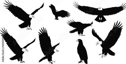 Dog breed silhouette vector set, 25 pet icons, domestic animal shapes, canine poses, purebred outlines, black and white animal art