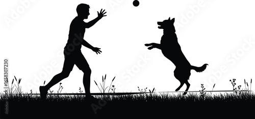 Dog play silhouette, person throwing ball, jumping pet, outdoor activity, grass scene, playful interaction, animal behavior vector, active lifestyle illustration
