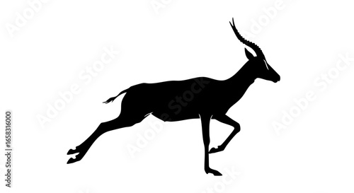 Silhouette of a swift antelope in motion