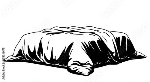 Mystery and intrigue abound in this image, featuring an object draped by cloth. The shadows add depth and a sense of enigma.