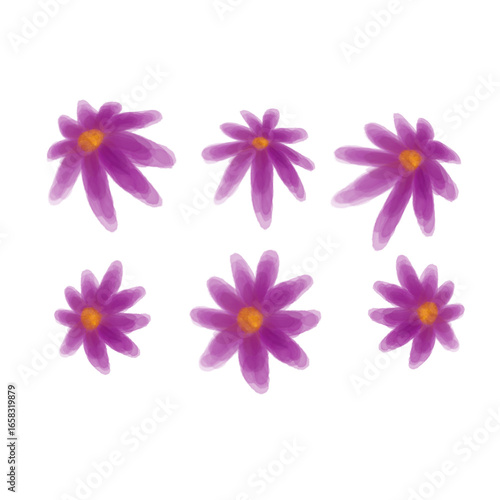Purple flowers on white background