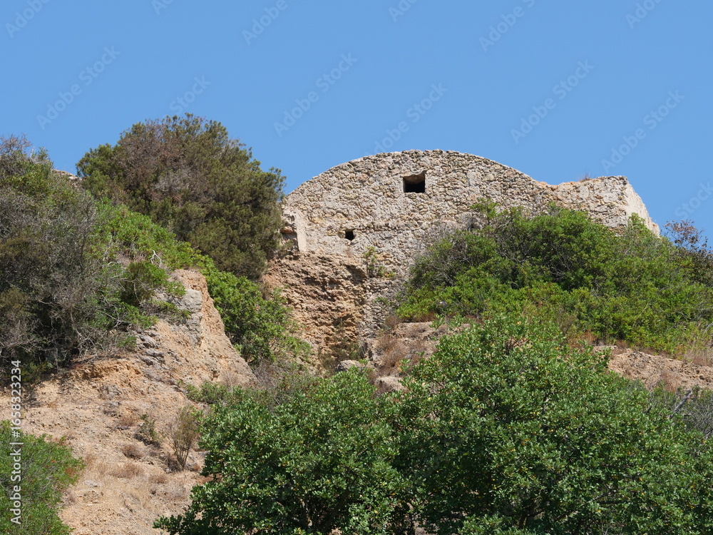 Fototapeta premium Remains or ruins of an old stone house, nature has reclaimed everything