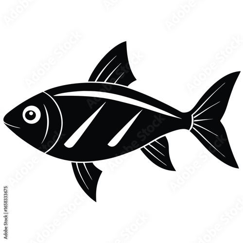 tetra vector fish