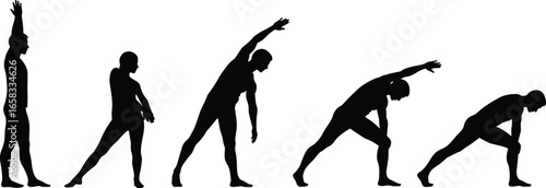 Silhouette, stretching exercises, warm up, flexibility, posture, workout, movement, balance, wellness, fitness, body, training, health, bend, reach, sport, sequence, exercise, 