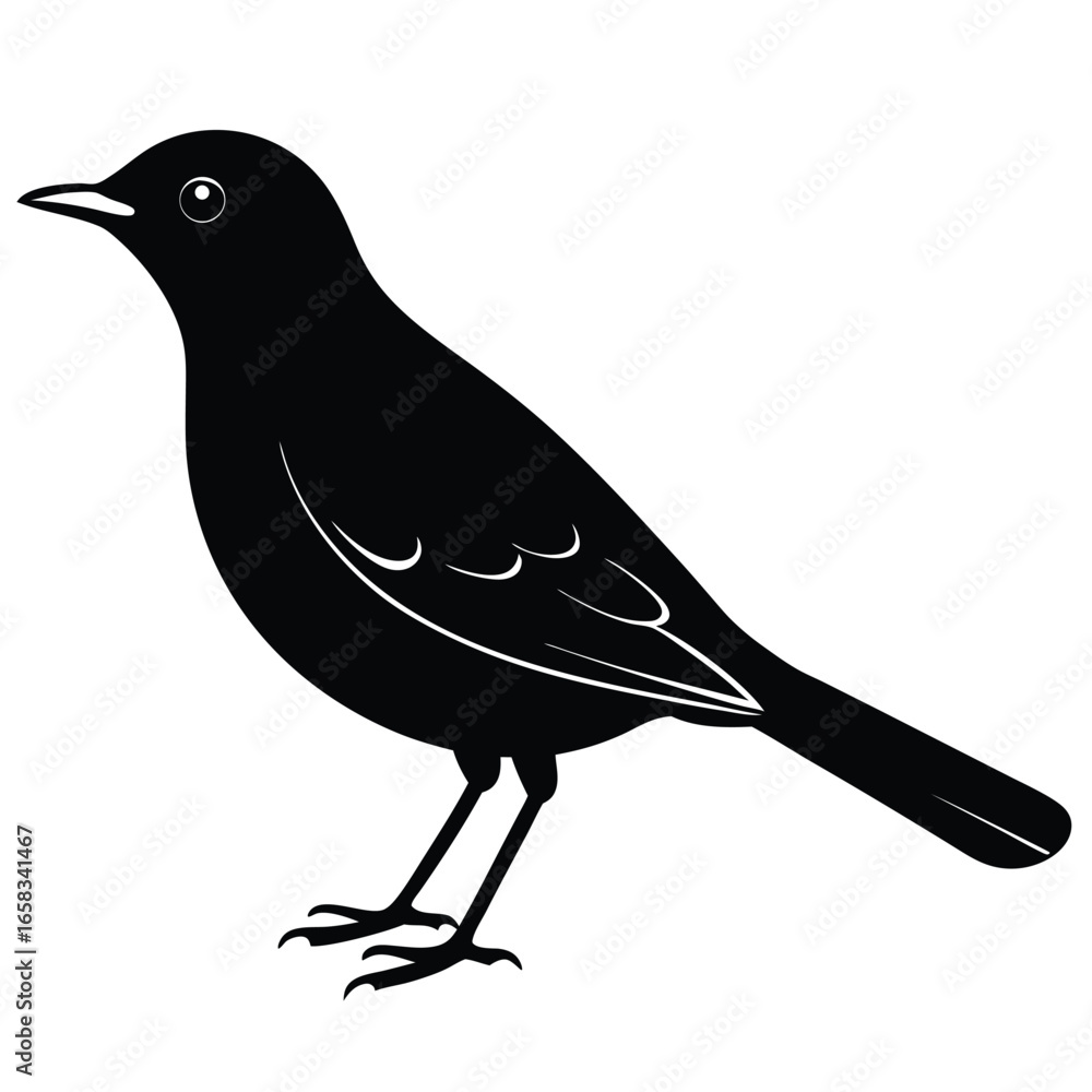 Obraz premium thrush vector