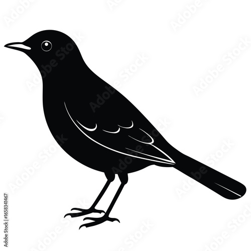 thrush vector