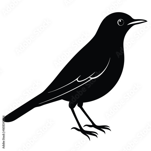 thrush vector