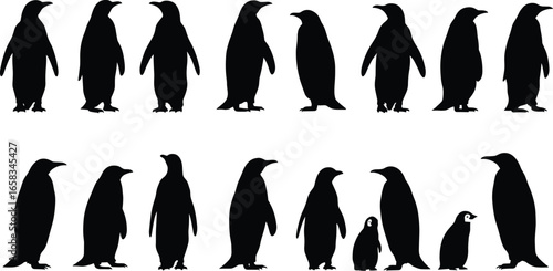 Penguin silhouette vector, antarctic bird illustration, wildlife animal design, black and white penguin artwork, cold climate species graphic, arctic nature pattern, decorative element