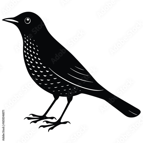thrush vector