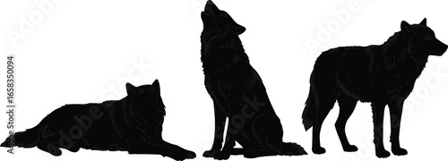 Wolf silhouette set, lying, howling, standing poses, animal behavior, wildlife vector, nature icons, predator art, forest animal graphics