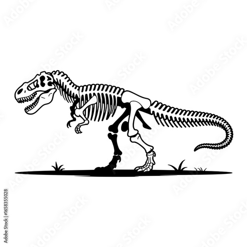 Tyrannosaurus Rex skeleton illustration. Black and white vector graphic of a T-Rex dinosaur fossil. Prehistoric bones, skull, ribs, spine, legs, and tail. Educational paleontology design element for m