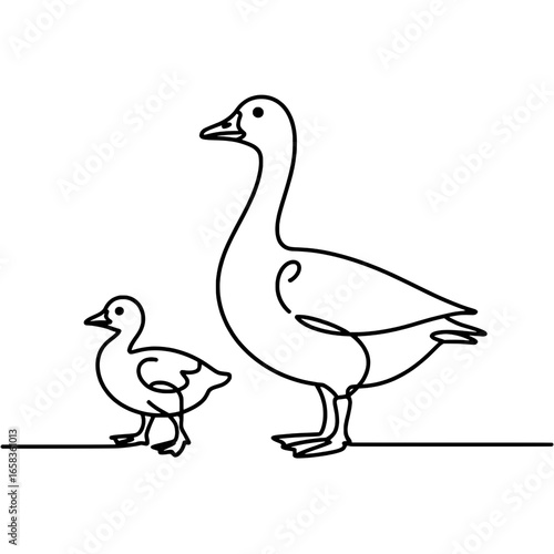 Two Geese: Adult and Gosling Line Art Illustration