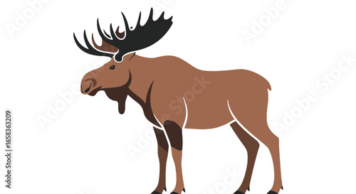 Illustration of a brown moose with large antlers standing on a white background in a side view position on transparent background