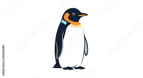Illustration of a penguin with white belly, black back, and orange neck markings standing upright nicely on transparent background
