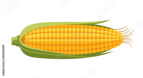 Illustration of a single ear of corn with yellow kernels and green husk on a white background plain style on transparent background