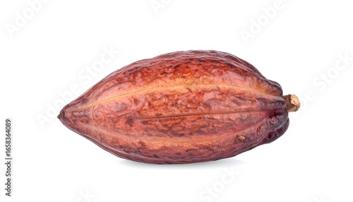 Isolated Cacao Pod: A Close-Up of the Textured, Reddish-Brown Fruit on a White Background