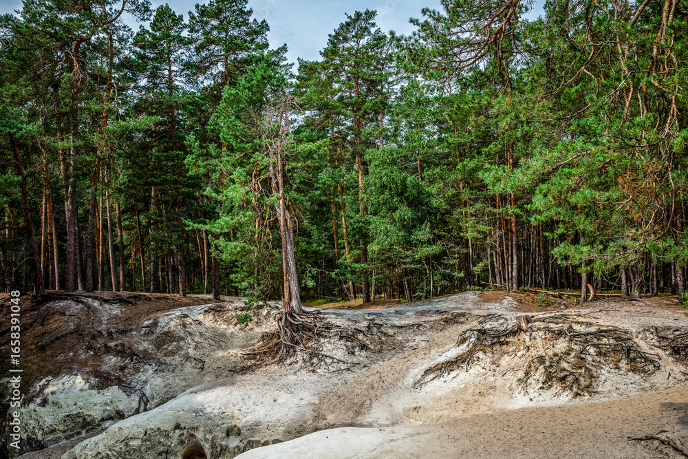 Fototapeta premium die Sandsteinhöhlen bei Blankenburg