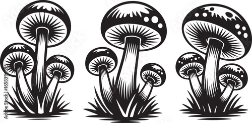 Mushroom Vector Illustration Set with Fungi and Natural Elements Style