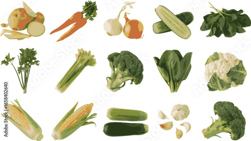 Fresh Vegetables Still Life for Healthy Eating and Culinary Creations Isolated