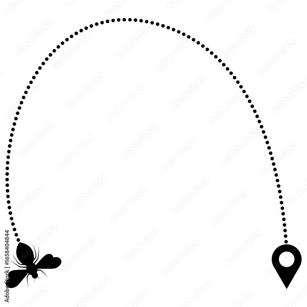 Fototapeta premium Bee With Dotted Line