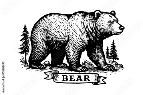 A detailed illustration of a grizzly bear walking, with a banner below.