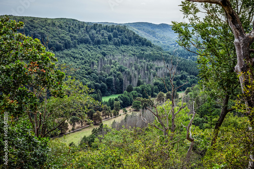 Blick ins Selketal