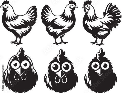 Assorted Chicken Vector Illustrations for Farm and Food Related Projects