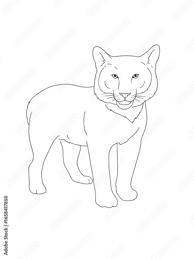 Obraz premium black cat with white background