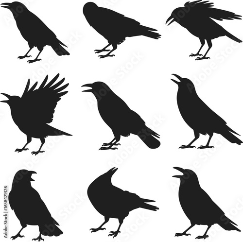 Crow and raven bird silhouette collection, spooky blackbird vector art, Halloween animal clipart, horror bird illustration, flying and standing
