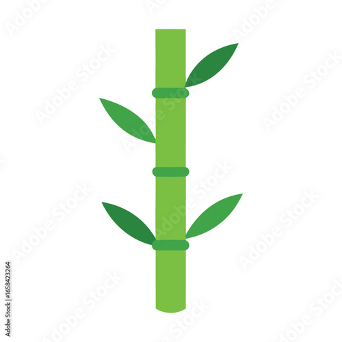 bamboo on white background