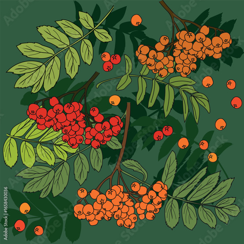 Composition of ripe rowan berries and leaves of rowan (Sorbus aucuparia) on green background. Seamless pattern.	