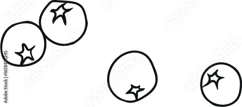  Coloring page with fruits of rowan (Sorbus aucuparia) isolated on white background