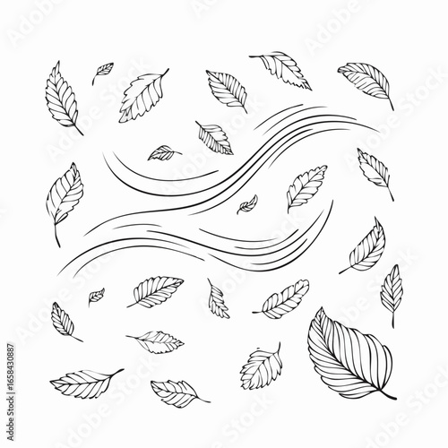 Leaf wind doodle line sketch set. Hand drawn doodle wind motion, air blow, leaf falling elements. Sketch drawn air weather, autumn falling concept.