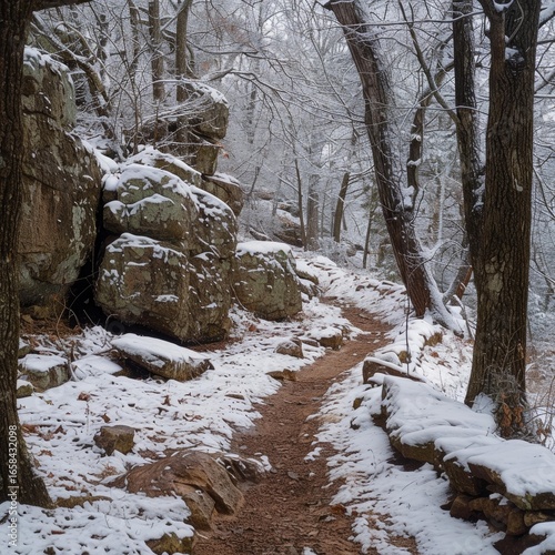 Scenic hiking trail winds through a serene forest covered in a fresh blanket of snow, creating a picturesque winter wonderland