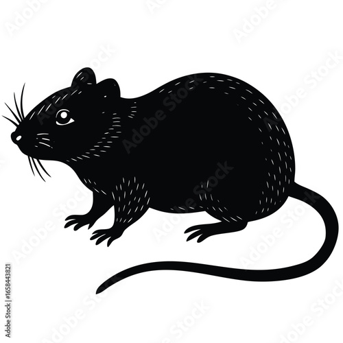 vole vectore animal
