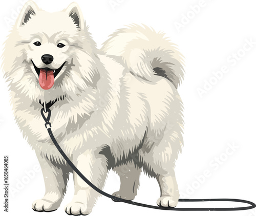 Samoyed with a leash linocut style illustration