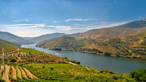 The Douro Valley, Portugal , Region is farmed for its terraced vineyards .