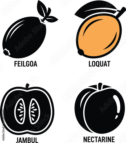 Four different fruits illustrated with labels feijoa loquat jambul nectarine