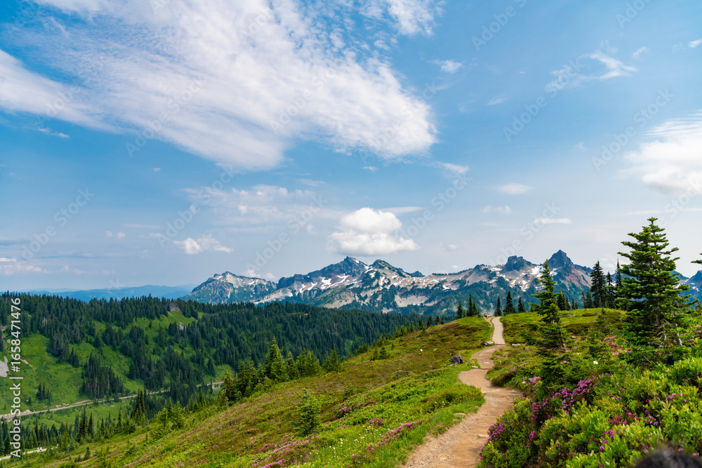 Fototapeta premium Valley landscape with cloudy sky. Scenic green hill mountain. Travel destination. Breathtaking summer in wild mountain with forest and green slopes. Mountain landscape with wide meadow