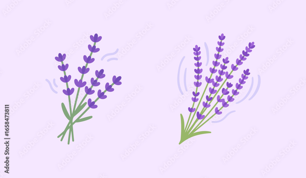 Naklejka premium Two stylized bunches of lavender flowers on a light purple background, with simple motion lines suggesting a gentle aroma or breeze.