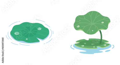 A set of two cute cartoon lotus leaves floating on water, featuring water droplets and subtle ripples, creating a peaceful and serene natural scene.