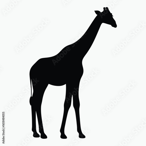 Giraffe Silhouette Black Vector Minimalist Animal Outline Design