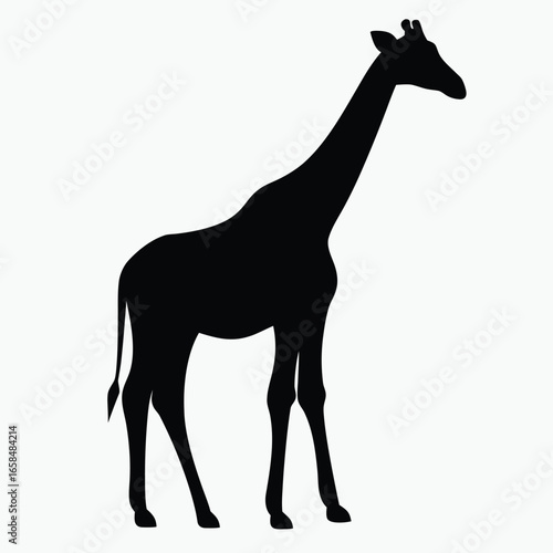 Giraffe Silhouette Black Vector Minimalist Animal Outline Design