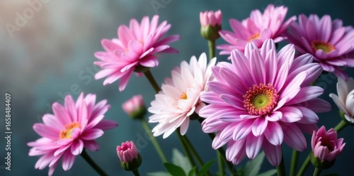 Delicate purple and white chrysanthemums in a vibrant floral arrangement , purple flowers, soft
