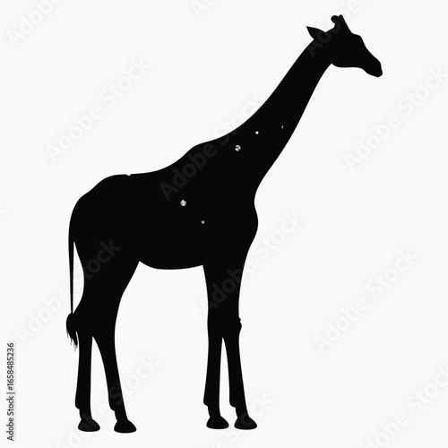 Giraffe Silhouette Black Vector Minimalist Animal Outline Design